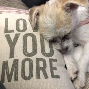 Meet your Posher, Danica